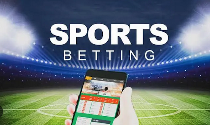 Betwinner Your Ultimate Guide to Online Betting Success